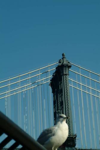 NYC_2006-12-07 12-50-58